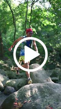 BIB:  <button type="button" onclick="openModal(28053231)" class="btn btn-primary btn-sm float-right" data-toggle="modal" data-target=".modal-high-quality">
                <i class="fa fa-download"></i> Download
                </button>